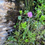 grillerbach, 1999, pitztal, arteologie, dr. arkadasch