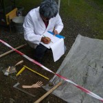 protokollierung humanoider fund, kitzbuehel 2003, dr. arkadasch, arteologie