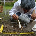 grabungsarbeiten, kitzbuehel 2003, dr. arkadasch, arteologie