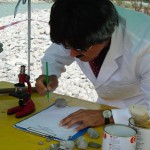 lechtal 1992, dr. arkadasch, arteologie