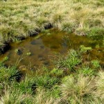 moor piller sattel, dr. arkadasch, arteologie