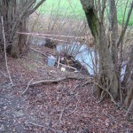 grillerbach, pitztal 1999, arteologie, dr. arkadasch