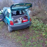 pitztal_grillerbach , ALDP, 1999, dr. arkadsch, arteologie