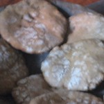 sonnenbrot, pitztal 1999, dr. arkadasch, arteologie