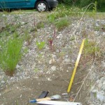 stubaital, 1985, kultwerkzeug, dr. arkadasch, arteologie