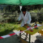 wipptal 1984, arteologie, dr. arkadasch