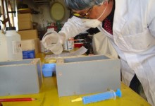 Kitzbühel, Juli - Oktober 2003, Ausgrabungsprotokoll 13/2