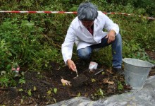 Brixental, Mai - Oktober 2007, Ausgrabungsprotokoll 26/2