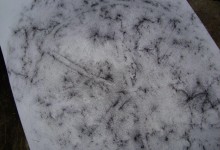 Pitztal, Juli - Oktober 1999, Ausgrabungsprotokoll 23/2