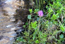 Pitztal, Juli - Oktober 1999, Ausgrabungsprotokoll 12