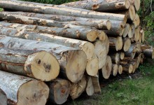 Kaunertal, Mai - Oktober 1997, Ausgrabungsprotokoll 11