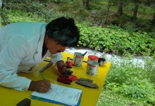 Arteologische Kontextbefundung 