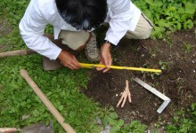 Kaunertal, Mai - Oktober 1997, Ausgrabungsprotokoll 21/6