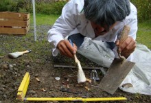 Arteologische Kontextbefundung der fundrelevanten Grabungsergebnisse der Grabungsstelle „Kitzbühel“