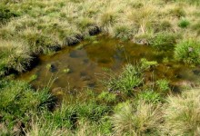 Pitztal, Juli - Oktober 1999, Ausgrabungsprotokoll 3