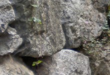 Kaunertal, Mai - Oktober 1997, Ausgrabungsprotokoll 15