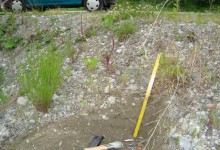 Stubaital, Juli – Oktober 1985, Ausgrabungsprotokoll 15