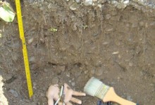 Stubaital, Juli – Oktober 1985, Ausgrabungsprotokoll 18