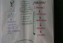 Wipptal, August – September 1984, Ausgrabungsprotokoll 10