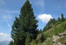 Kitzbühel, Juli - Oktober 2003, Ausgrabungsprotokoll 16/2